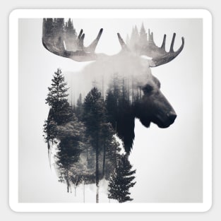 Moose Nature Outdoor Imagine Wild Free Magnet